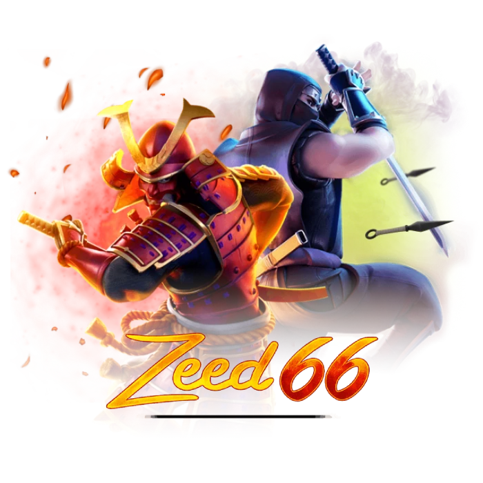 ZeeD66