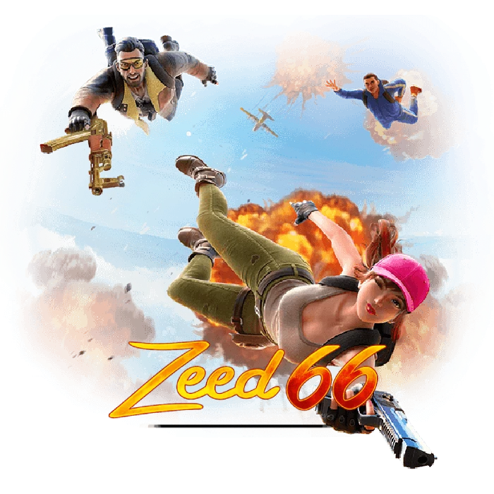 ZeeD66